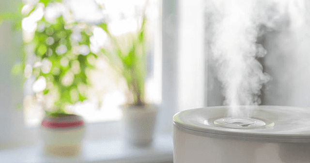 Humidifier and Furnace